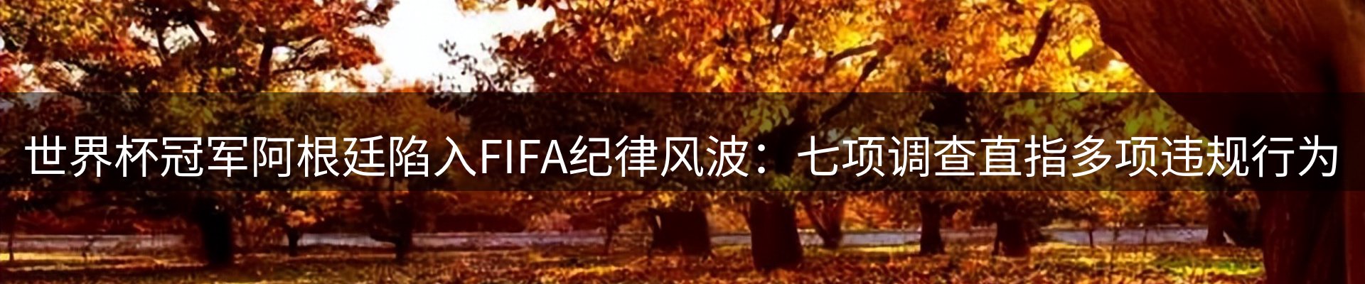 体育资讯