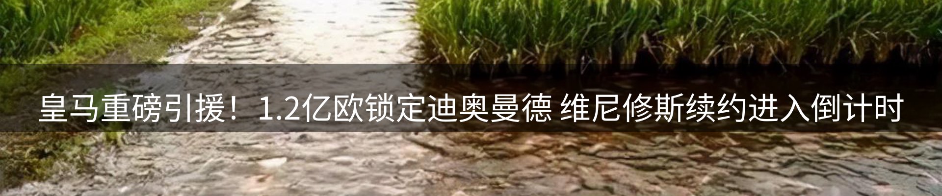 体育资讯