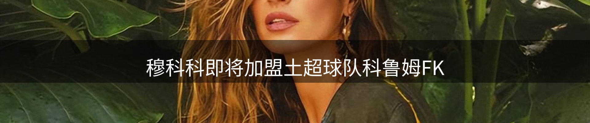 行业汇总