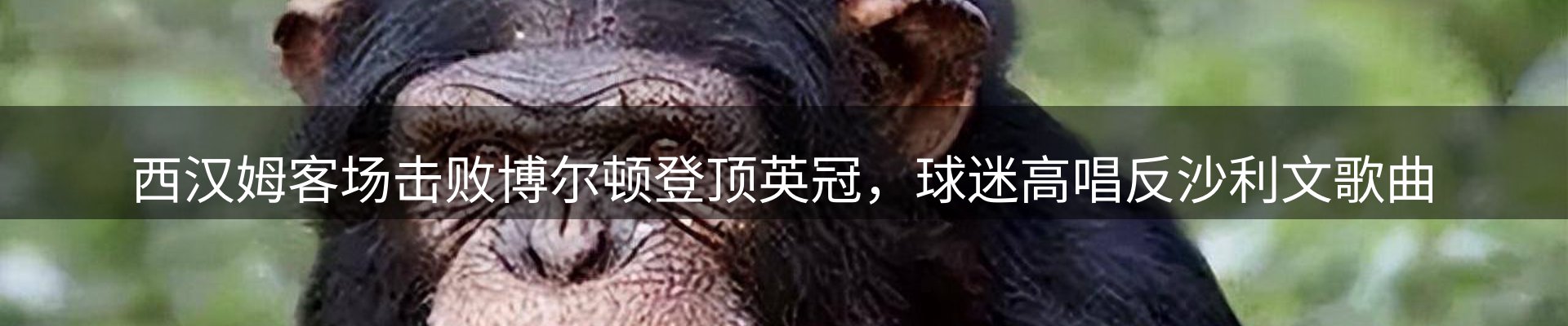 行业汇总