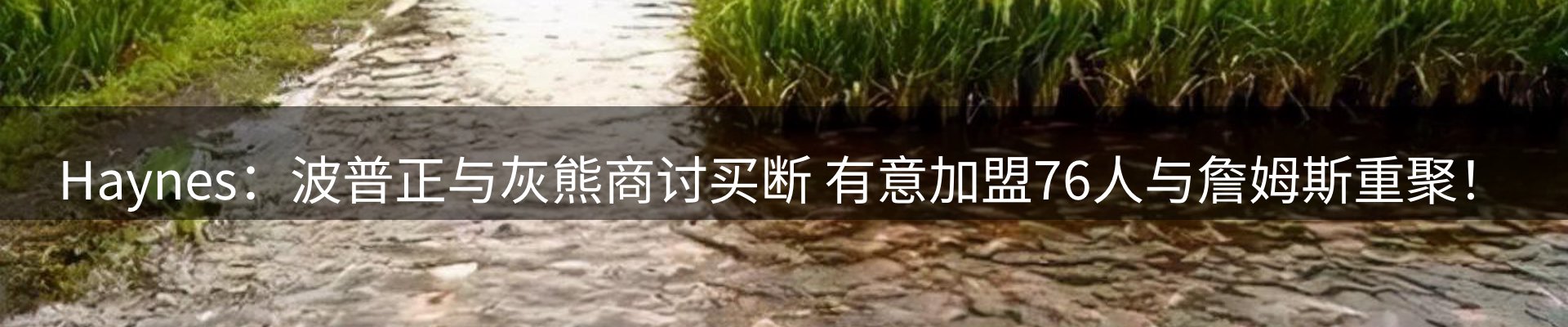 体育资讯